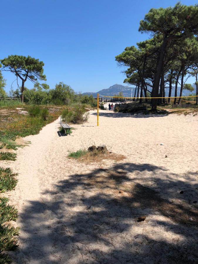 Apartamento Duplex rénové les pieds dans l'eau Calvi  Exterior foto